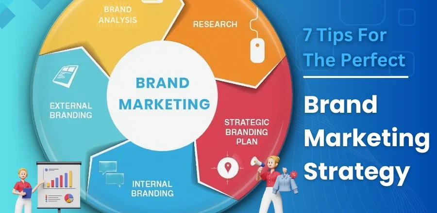 The Ultimate Guide to Choosing the Best Branding Strategy: 10 Expert Tips for Success The Ultimate Guide to Choosing the Best Branding Strategy: 10 Expert Tips for Success